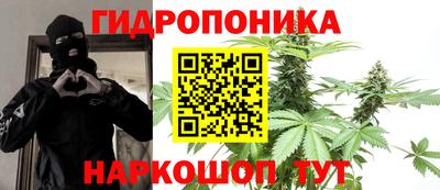прущая мука Кимры