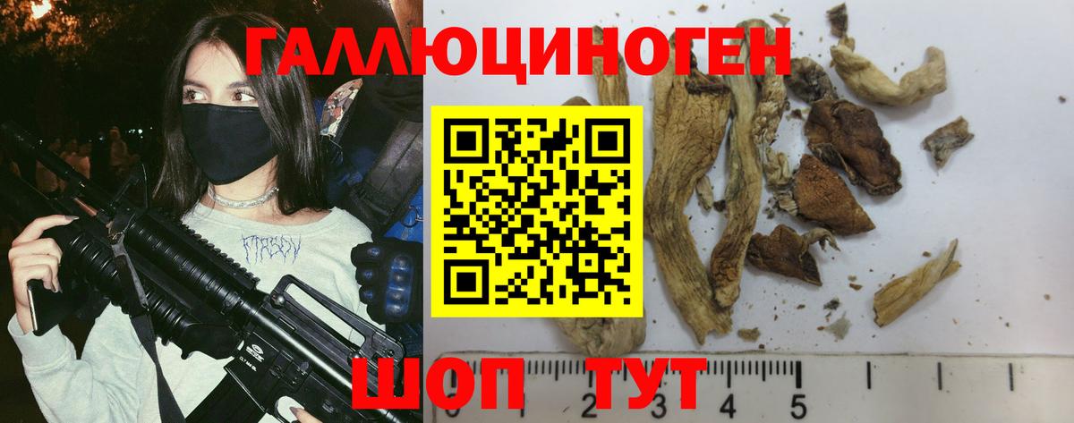 Галлюциногенные грибы мухоморы Конаково