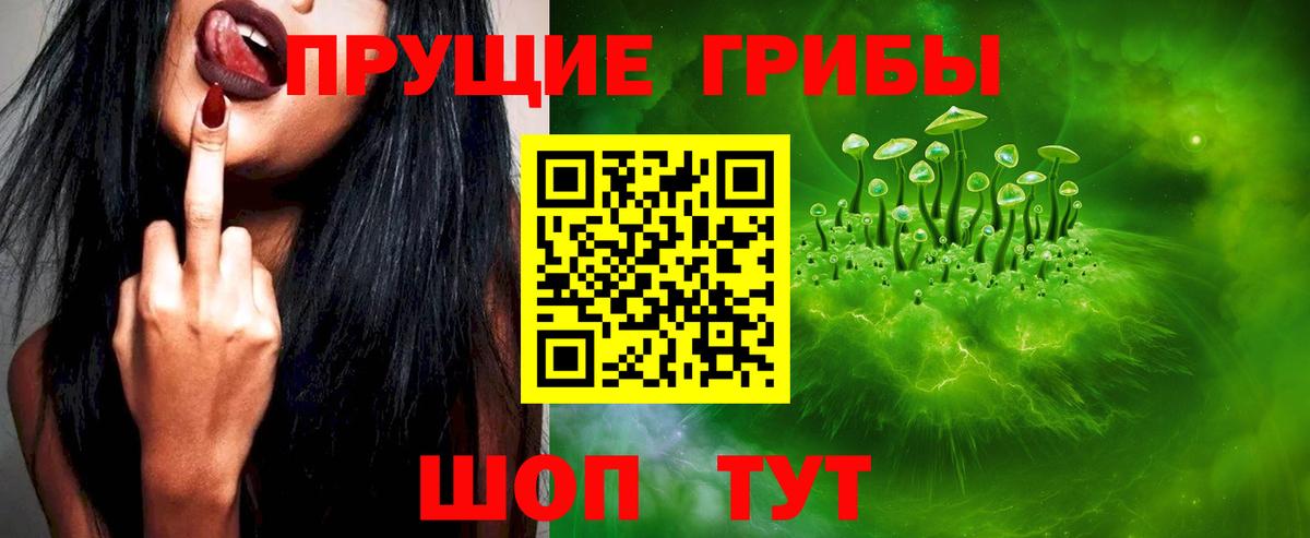закладка  Псилоцибиновые грибы Cubensis  Конаково  Вход с VPN  Галлюциногенные грибы мухоморы 