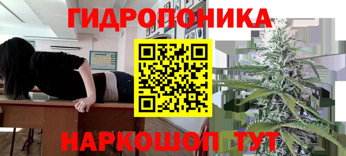 Бошки Шишки LSD WEED  Бошки марихуана конопля  Конаково  Каннабис ГИДРОПОН  Канабис AK-47  Вход с VPN 